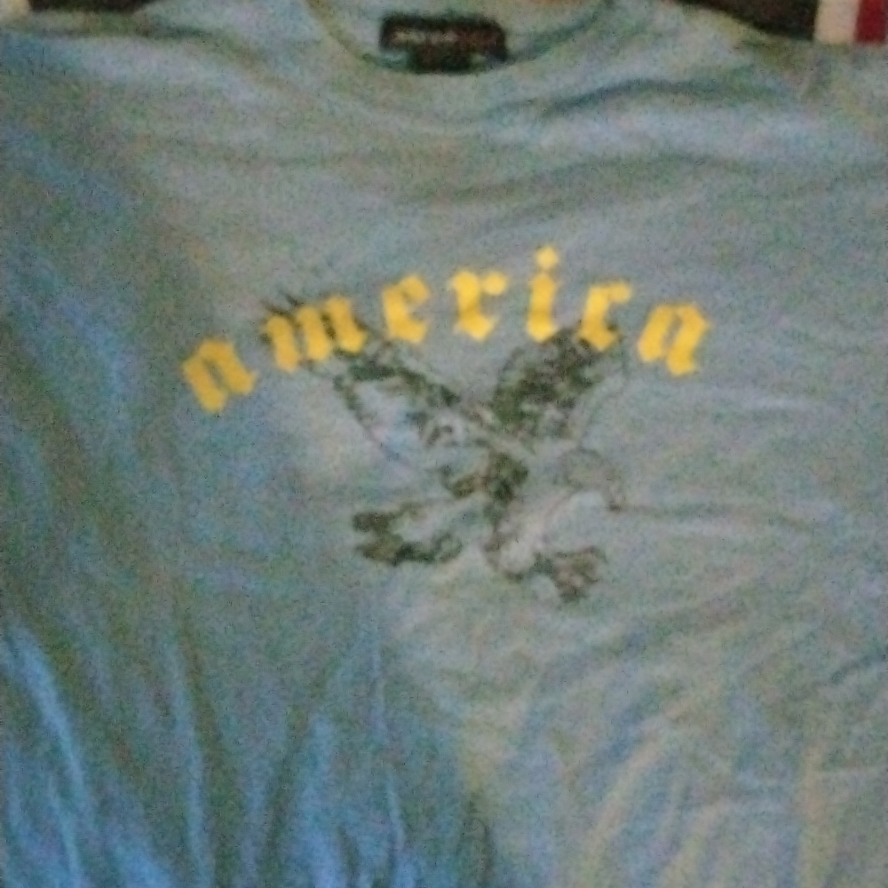 Perry ellis blue america shirt